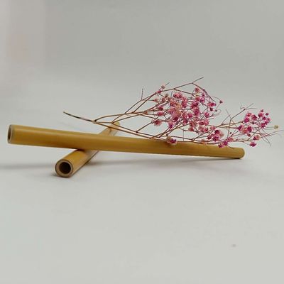 19cm Một lần sử dụng ống hút tre tự nhiên cho trẻ em đồ uống đồ uống lạnh