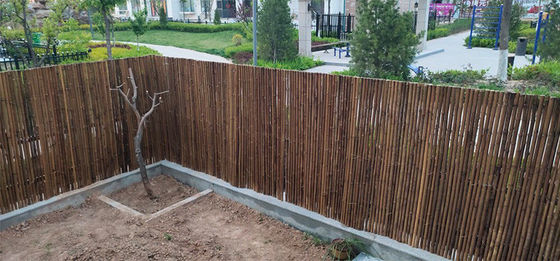 Màn hình bảo mật bằng tre lăn có thể sử dụng lại
