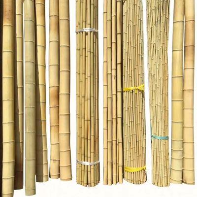 Bamboo Town Nature Màu vàng Đen Khô xử lý Bamboo Moss Pole