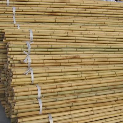 Vườn Tre Cọc Que Vườn Gậy Cây Tre Cọc Đậu Đậu Hà Lan Dưa Leo Cây Ăn Quả Cây Cây