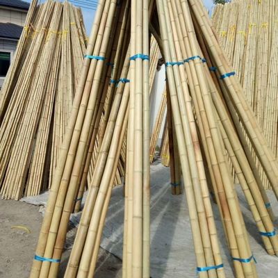 Wholesale Nature Raw Tonkin Yellow Bamboo Pole Cane Material For Decorative And Plants Grow Support