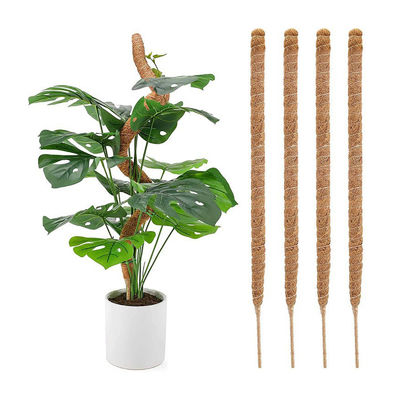 Dừa Cây gậy kích thước tùy chỉnh Coco Dừa Totem Cây gậy thảm cho cây trồng tăng trưởng leo núi