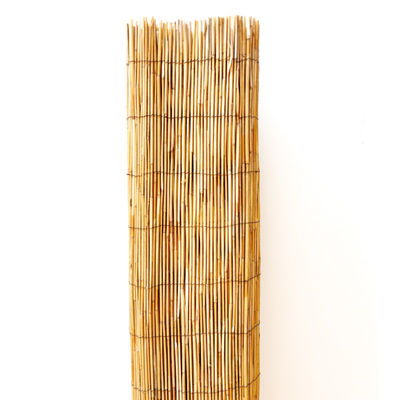 Reed Fence An Eco-Friendly and Versatile Way to Add Privacy and Shade