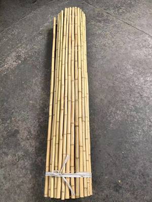 Bộ hàng rào tre hiện đại Bao vây sân vườn tự nhiên tối ưu & Bộ chia sân