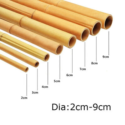 Plant Stakes Natural Garden Bamboo Sticks for Indoor and Outdoor, support for Tomatoes, Beans, Potted Plants