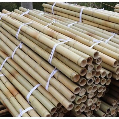Eco-Friendly Customizable Size Bamboo Pole For Garden Plant Support With Antisepsis Treatment