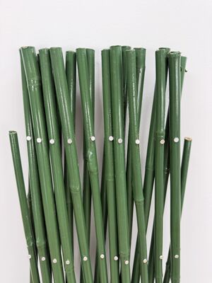 Enhance Garden Privacy & Style: Sustainable Expanding Bamboo Fence Rolls