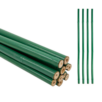 Cây gậy tre phủ nhựa bền và thân thiện với môi trường
