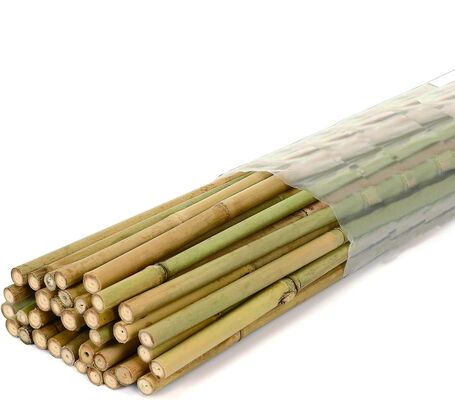 Cây tre mạnh mẽ và bền vững: Hỗ trợ cao cấp cho cây leo núi
