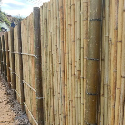 Waterproof and Durable Natural Bamboo Fence Roll for Garden and Landscaping