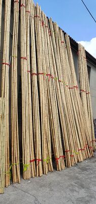 Eco Friendly trang trí nguyên liệu tre đai Dia.0.8cm x 100cm Độ dài