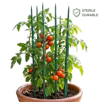 Cọc hoa tre tự nhiên Hỗ trợ cây trồng trong vườn có thể phân hủy sinh học Kích cỡ tùy chỉnh Màu sắc cho vườn ươm